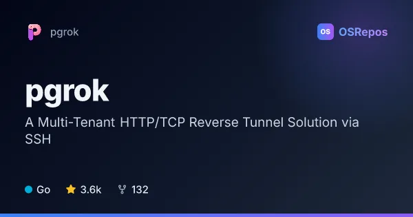 pgrok: A Multi-Tenant HTTP/TCP Reverse Tunnel Solution via SSH